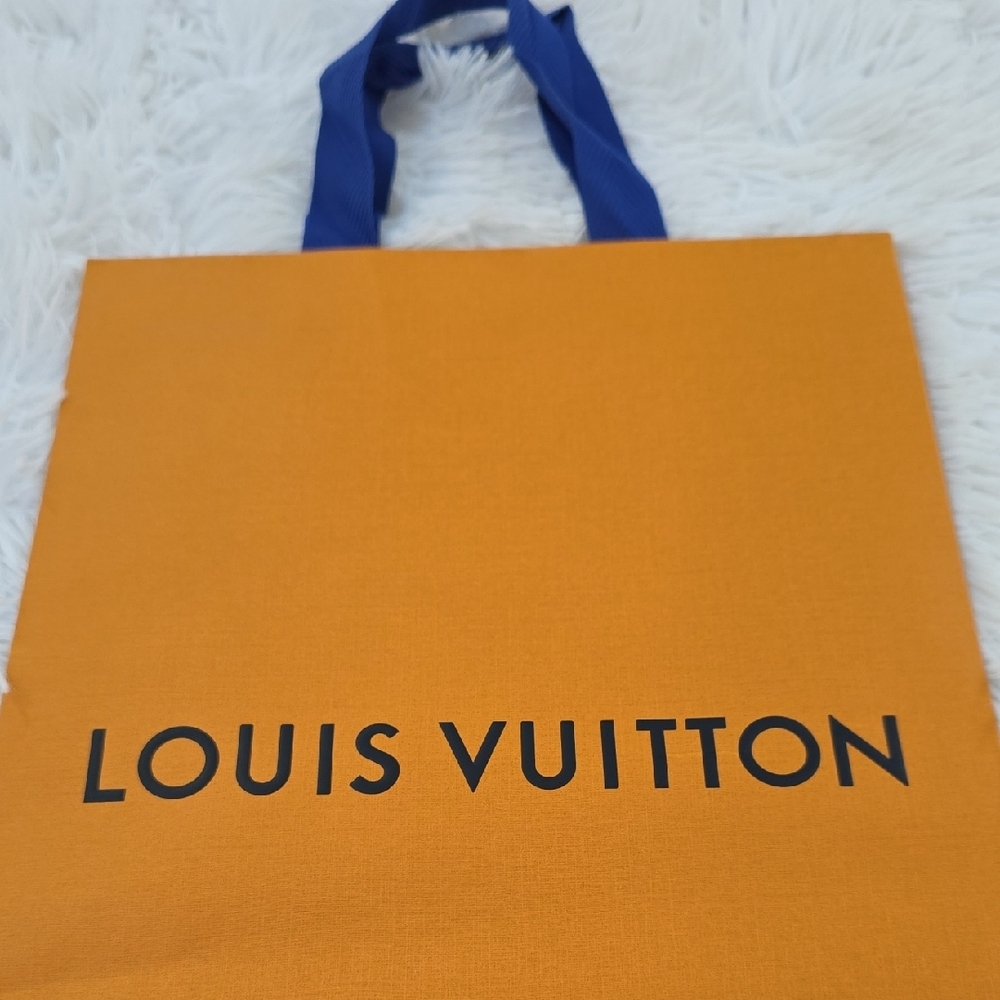 Authentic Louis Vuitton Used Paper Bag - Picture 3 of 9